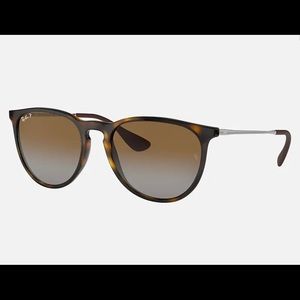 Erika Classic Raybans Polarized in Tortoise